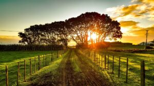 new zealand, landscape, scenic-1805939.jpg